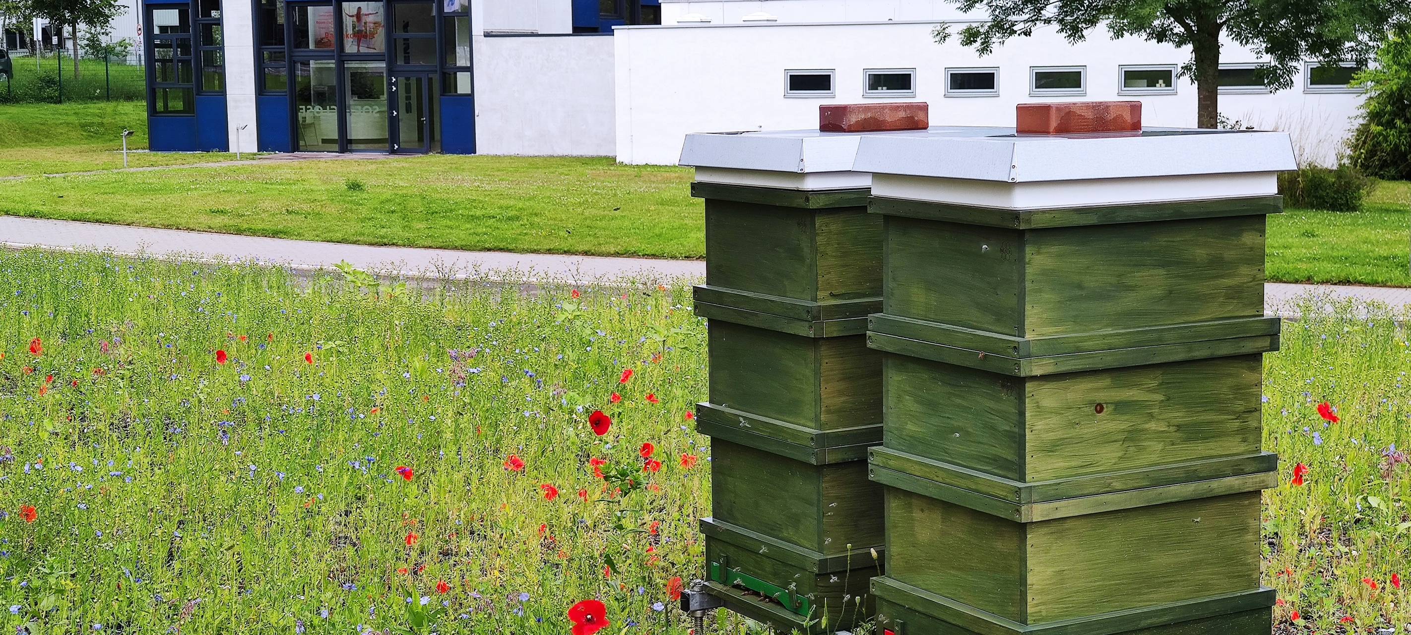 SIEGENIA hat jetzt Bienen
