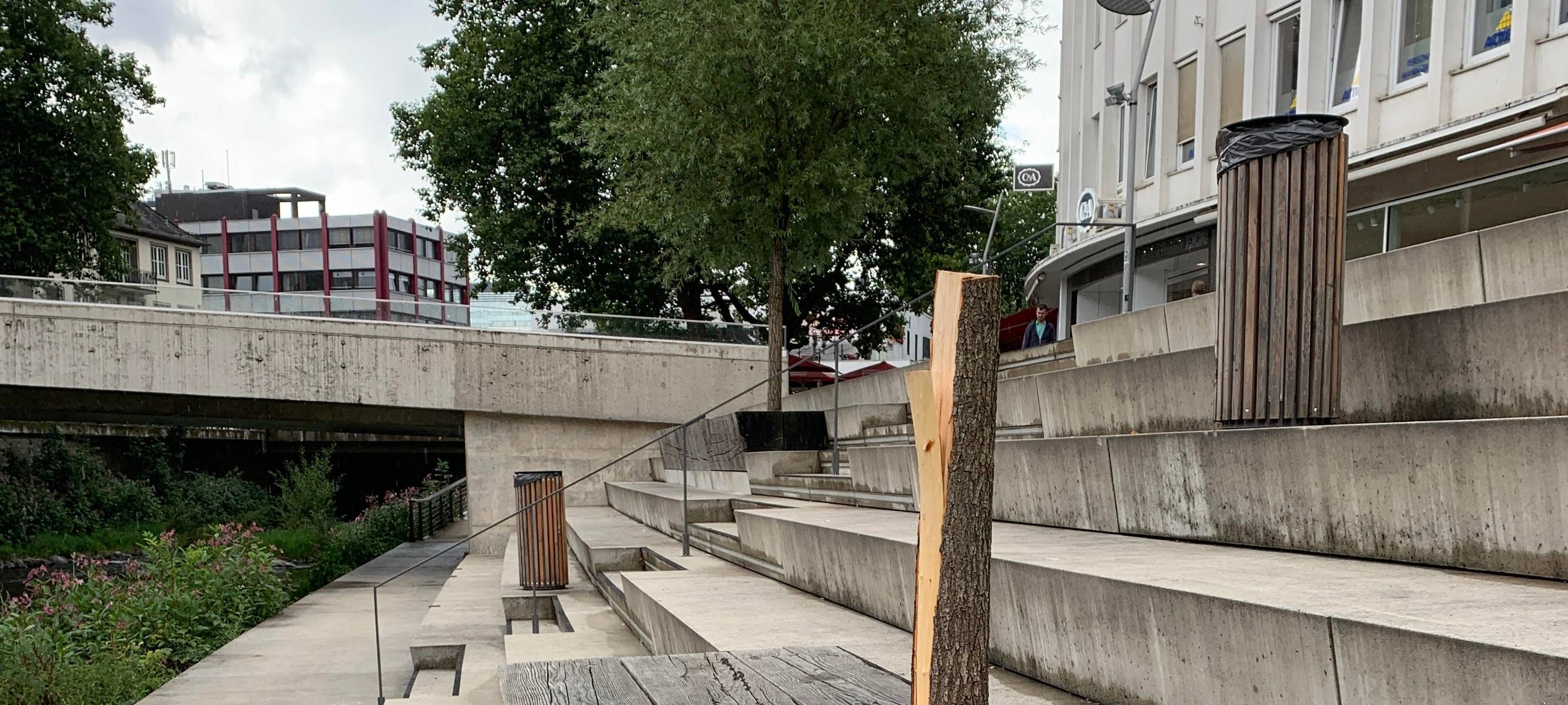 Baumfällung am Siegufer