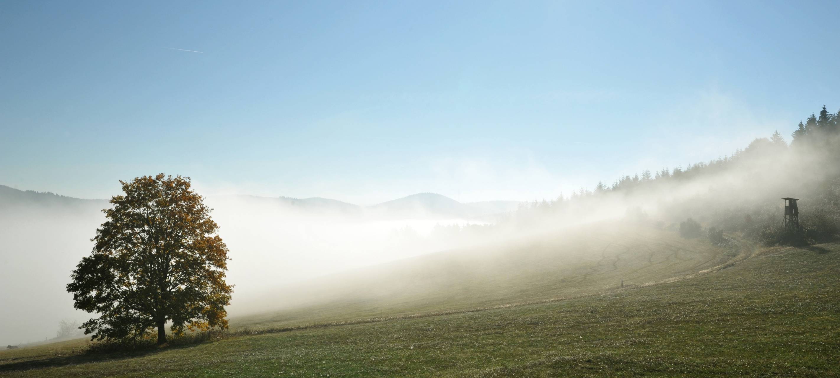 August-Wetter in Wittgenstein