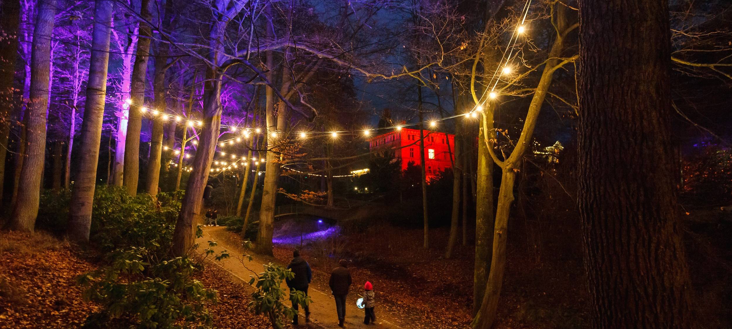 Kreuztal: "Lichterglanz im Park" pausiert auch in 2021 - Parkbeleuchtung wird dennoch installiert
