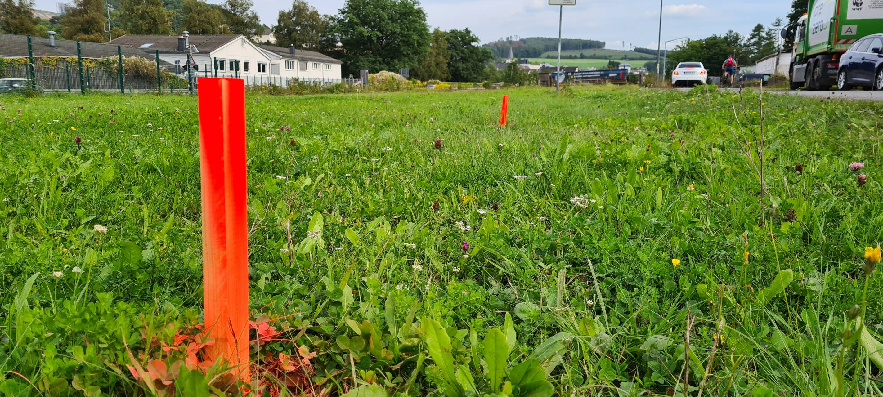 Vermarktung der Flächen