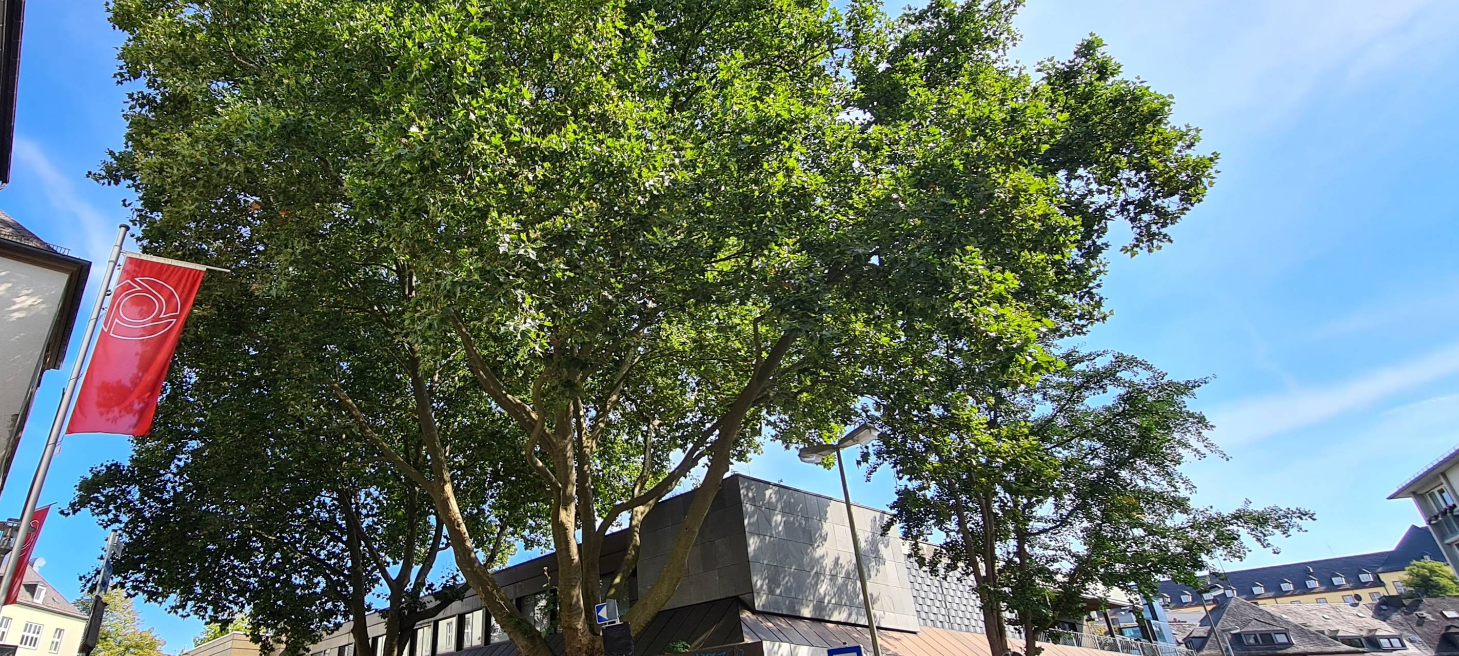 Kronen werden gekürzt