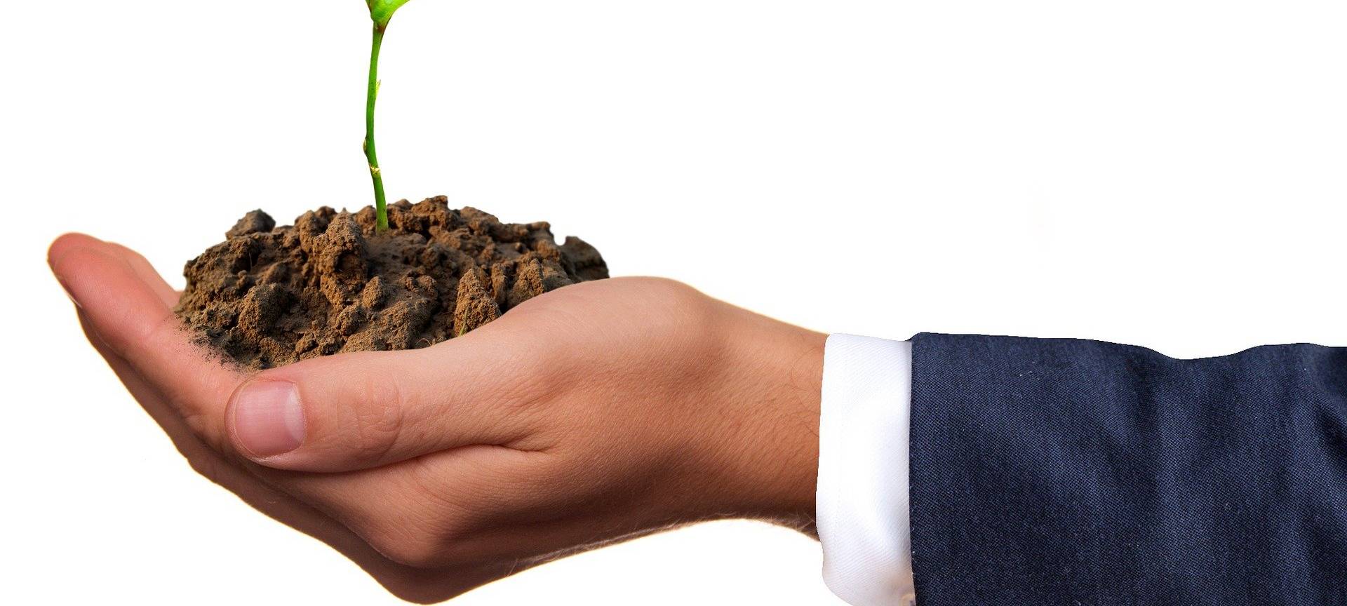 Kreistag beschließt Klimaleitbild