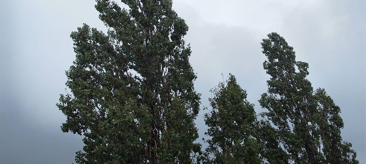 Vor stürmischen Tagen: Mit diesen Tipps macht man Haus, Balkon und Co. windfest