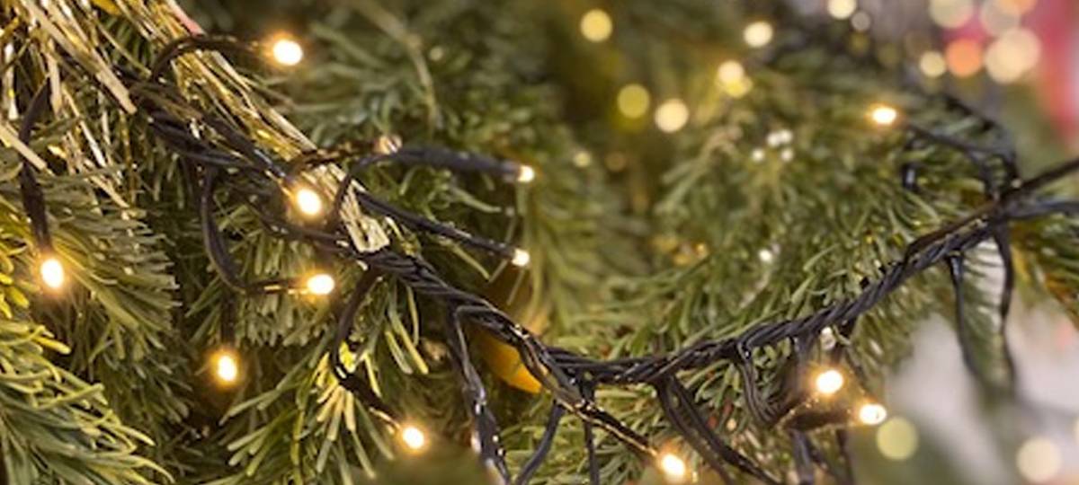 Berleburger Weihnachtssterne