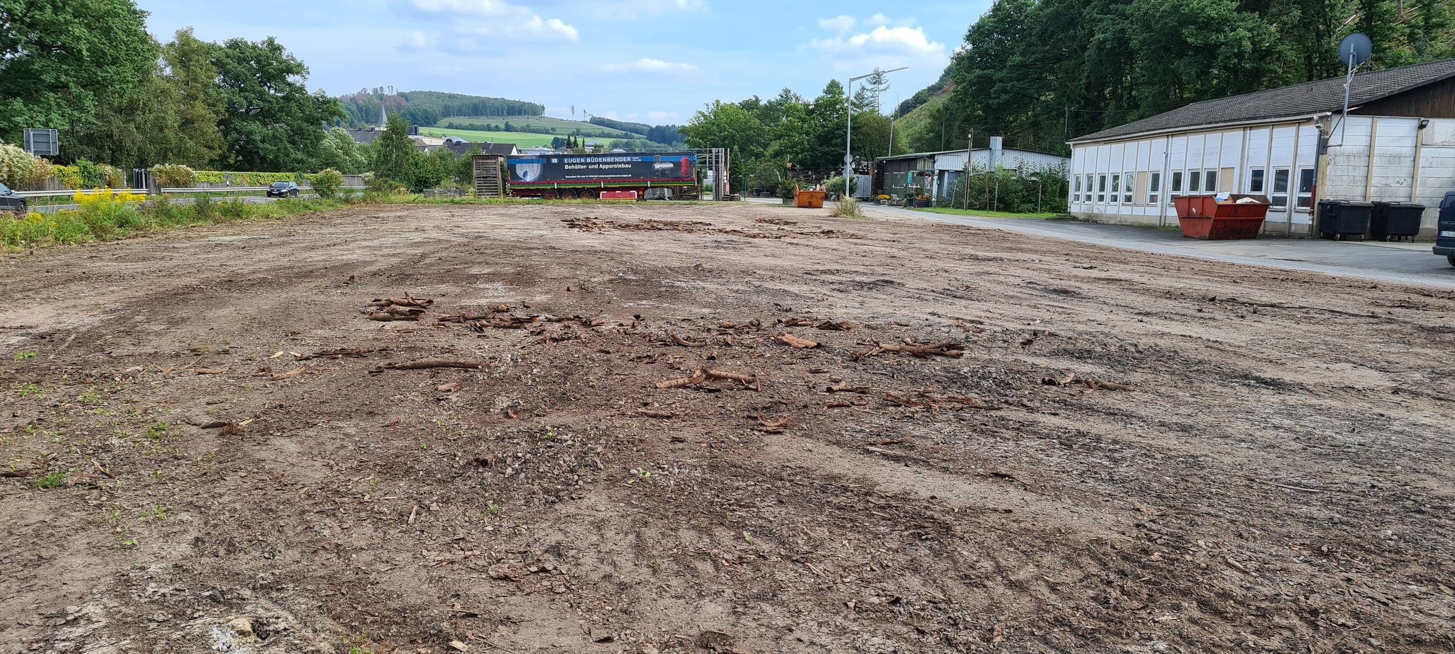 Metallgitterzäune bepflanzen