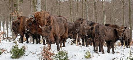 Kompetenzen einbringen