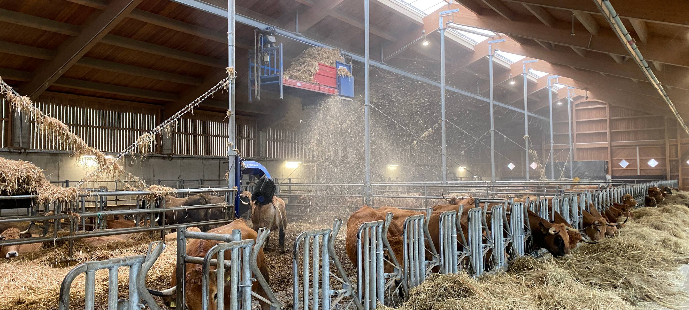 Hofgut Stöcken in Freudenberg