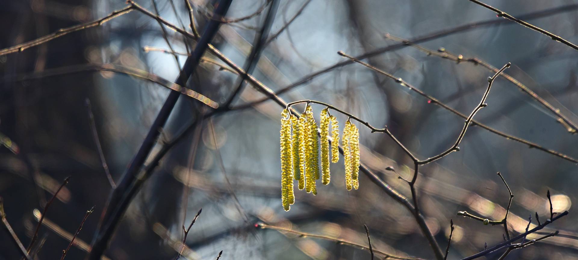 Februar in Siegen war warm, feucht und stürmisch
