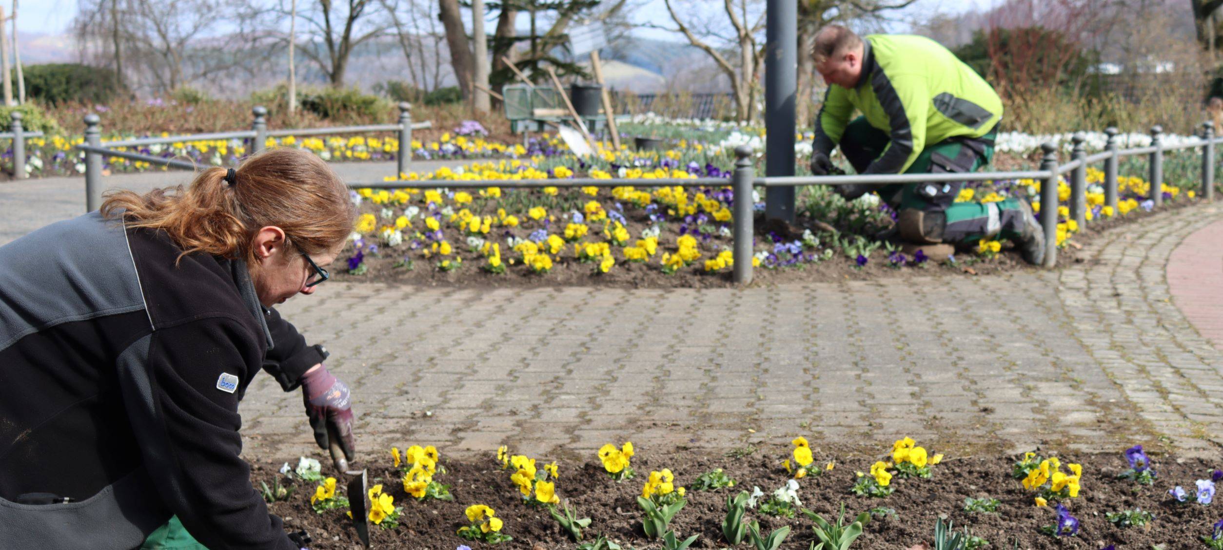 Frühlingsstart im Siegener Schlosspark