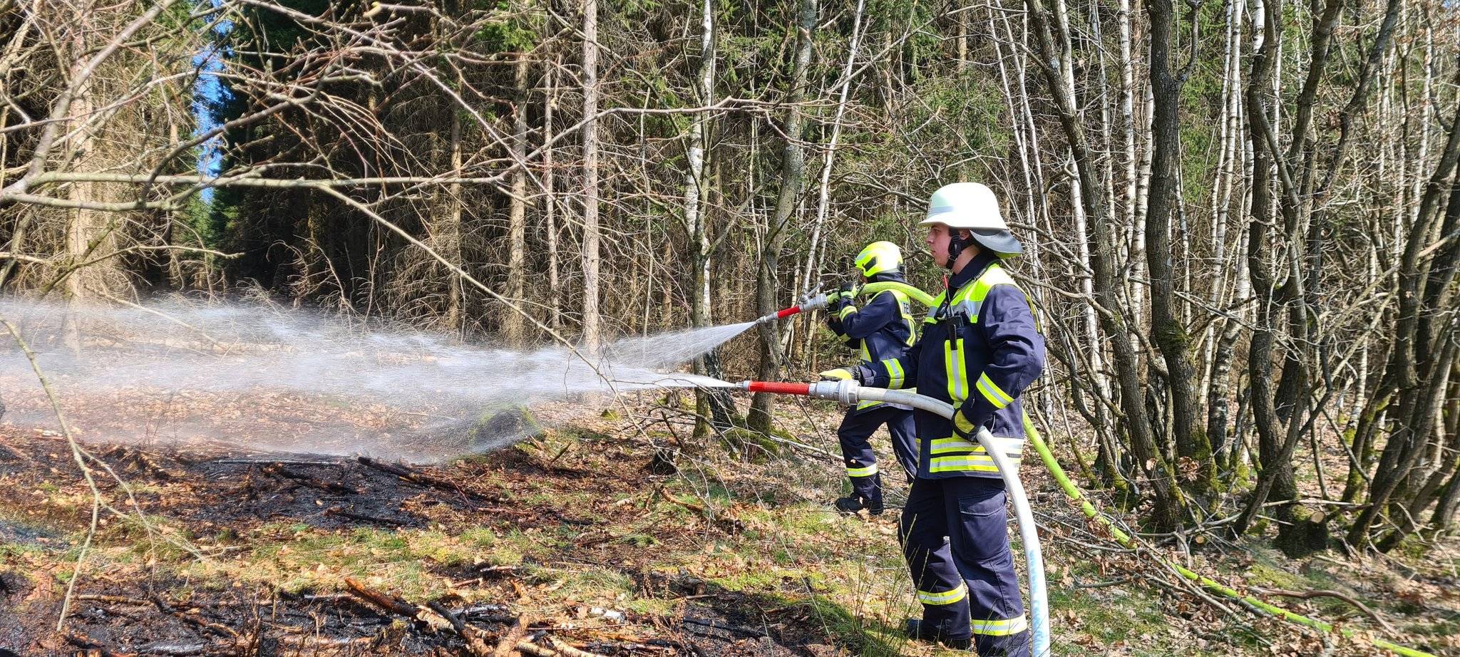 Ein Bild vom Waldbrand
