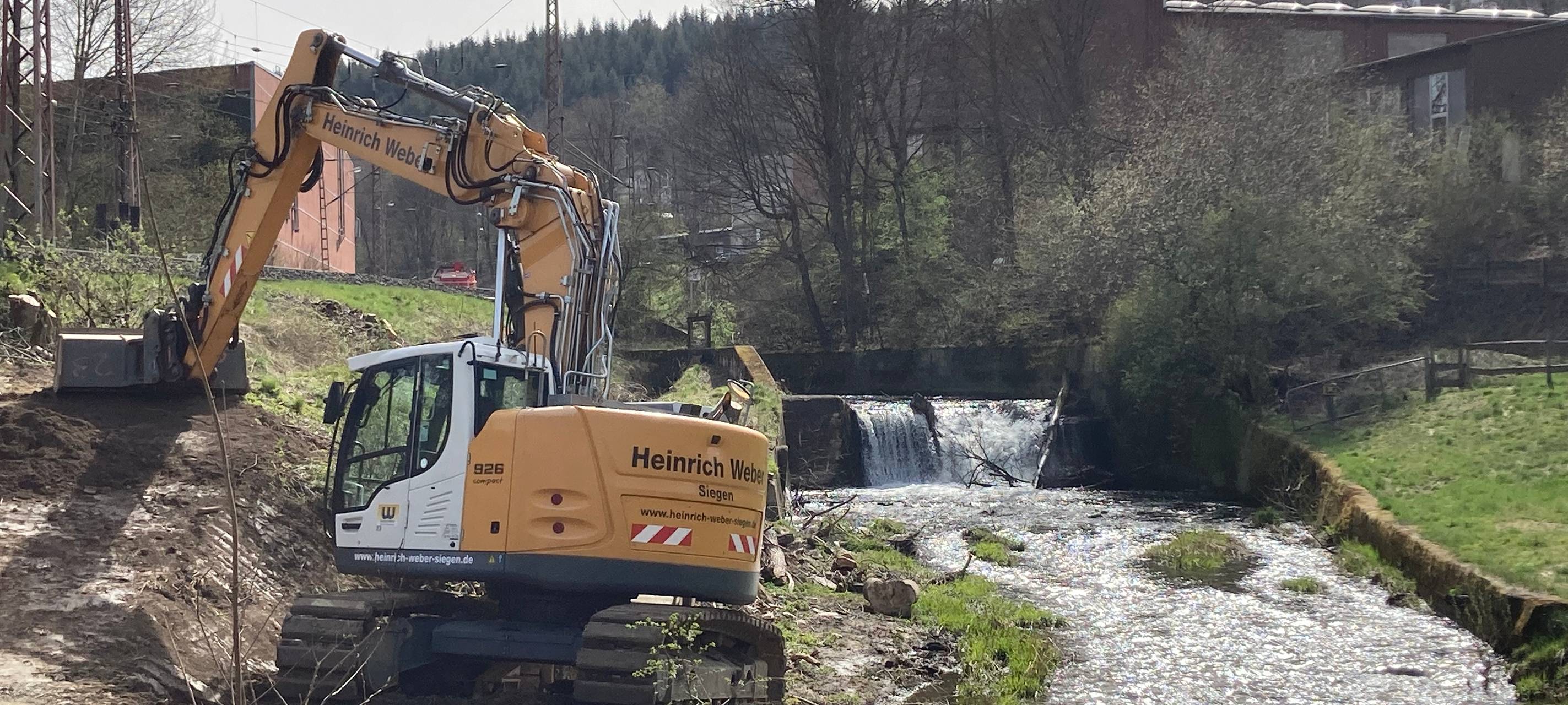 Der Lachs soll zurück ins Siegerland
