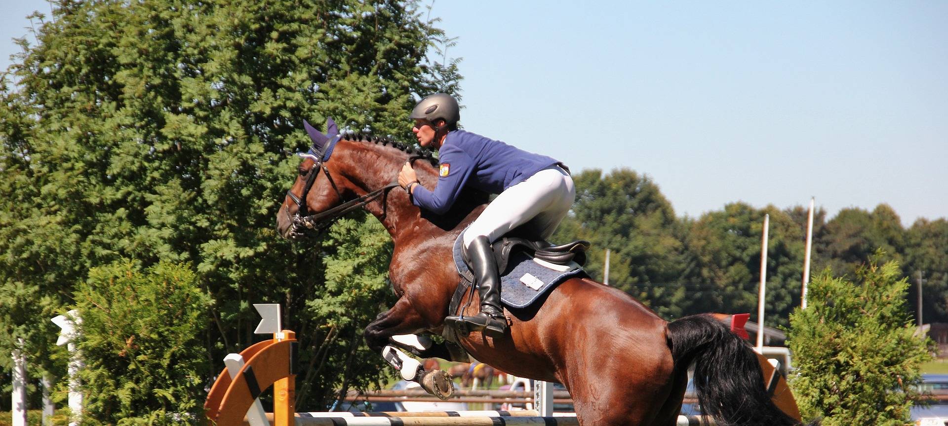 Reit-Pfingstturnier in Weidenau