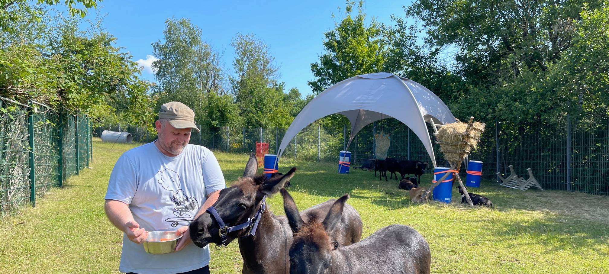 Von Mainz nach Siegen