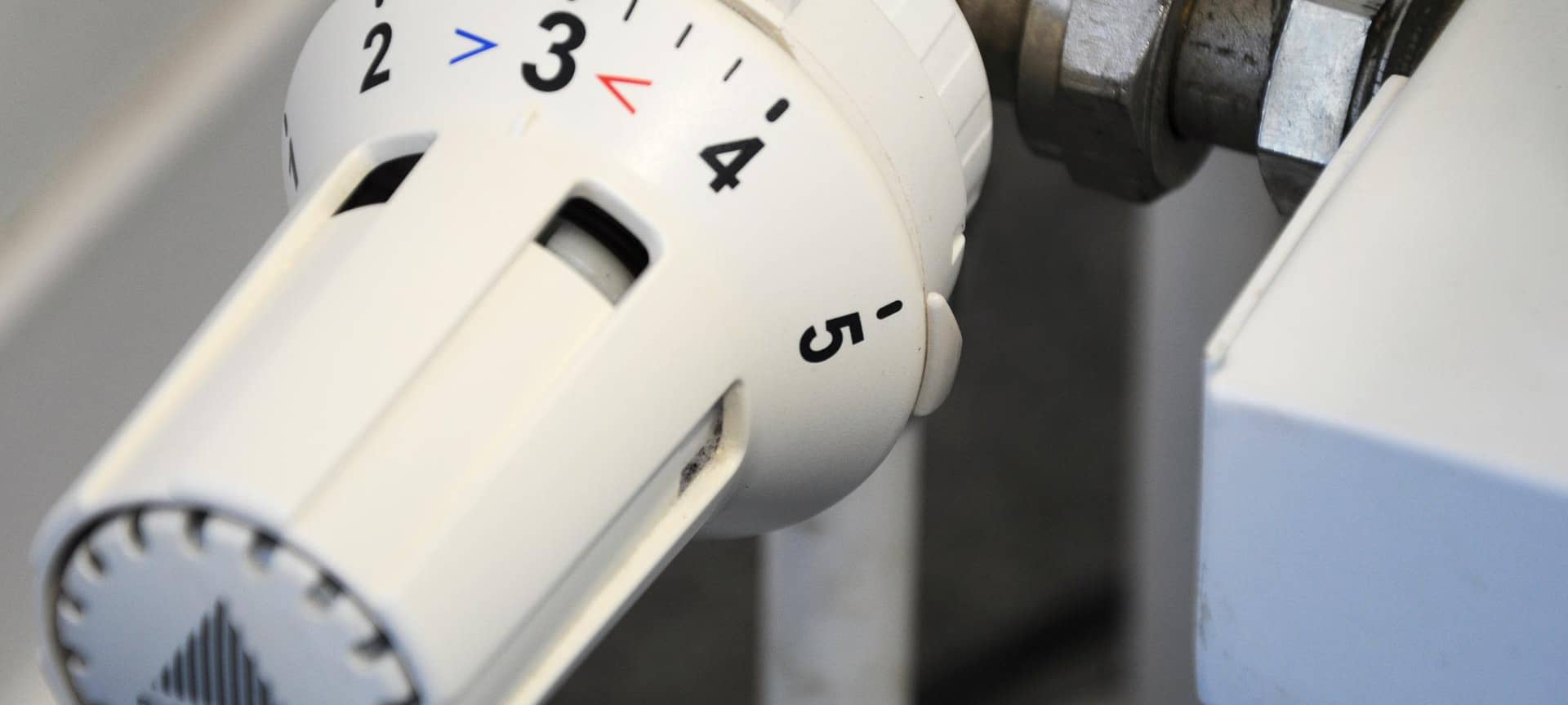 Bei Energiewende auf andere Pferde setzen