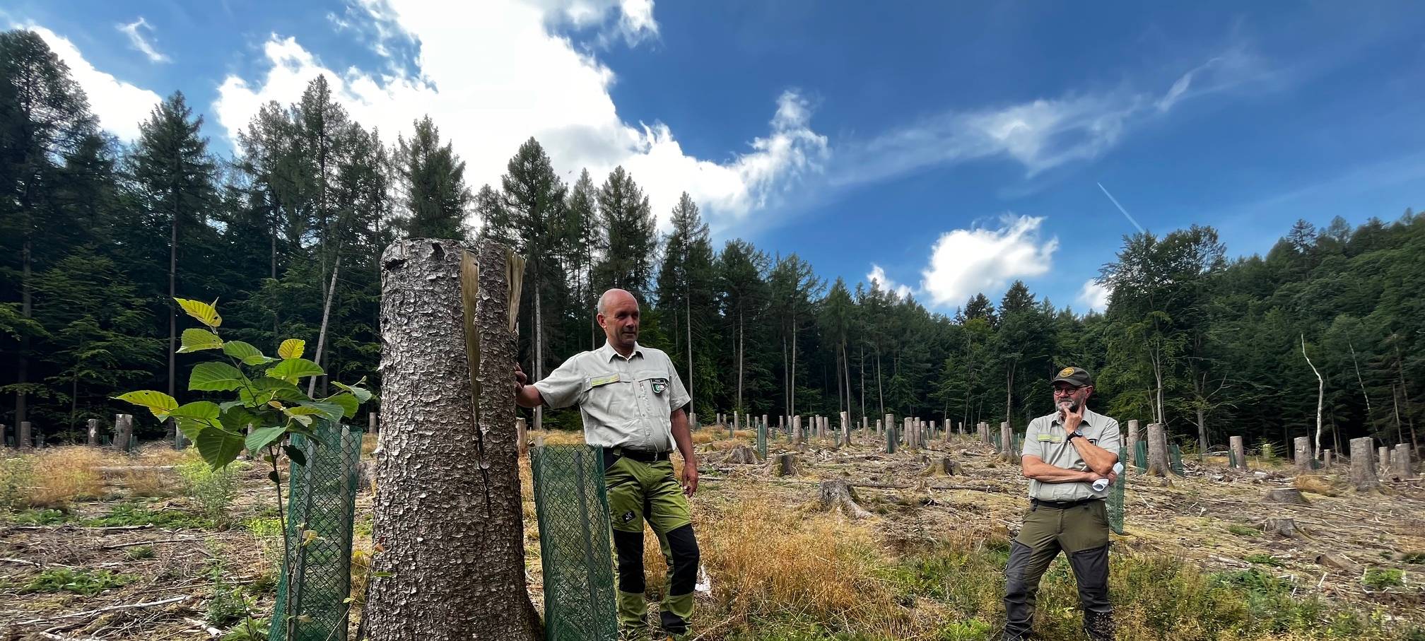 Neue Wege beschreiten
