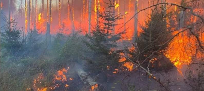 Waldbrand bei Haiger unter Kontrolle