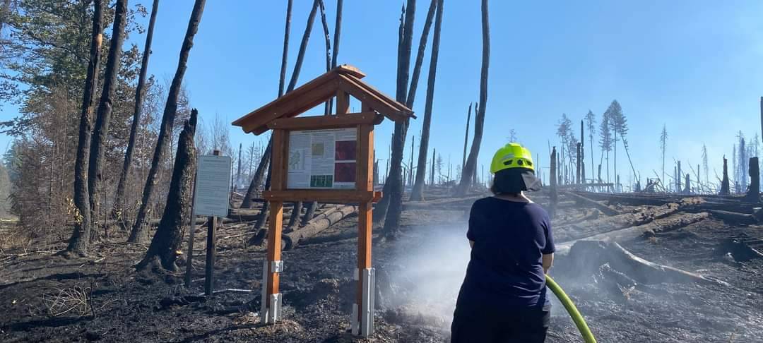 Feuer unter Kontrolle