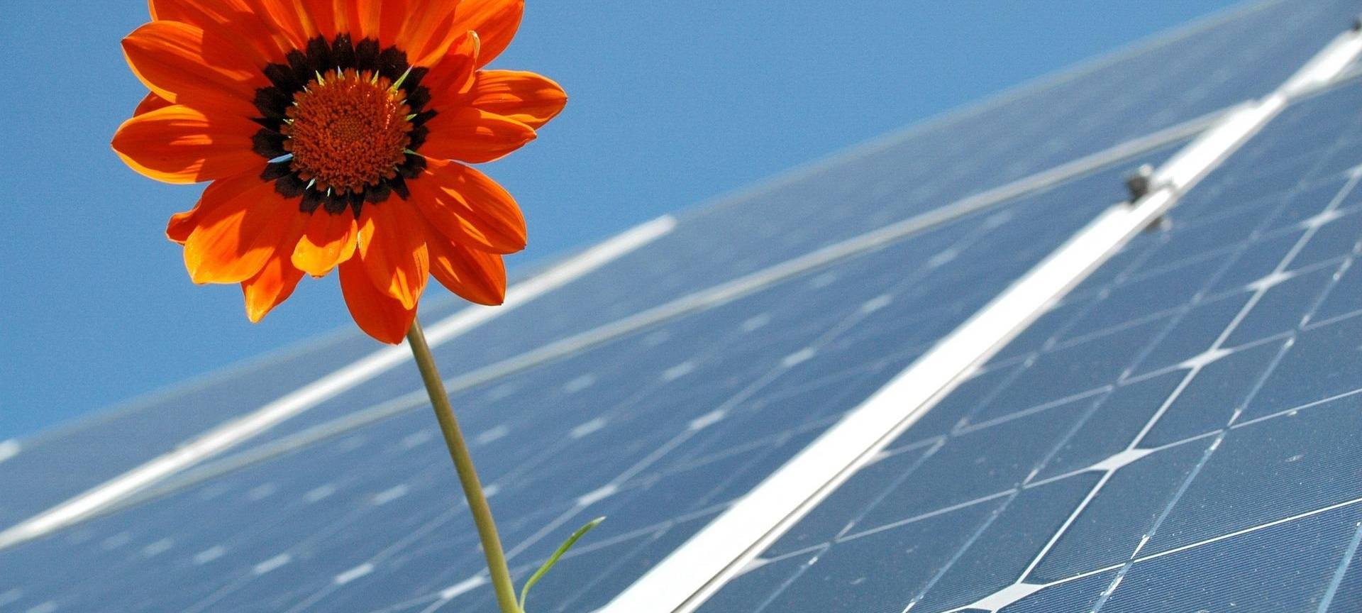 SCHÄFER WERKE bauen größten Solarpark in Siegen-Wittgenstein