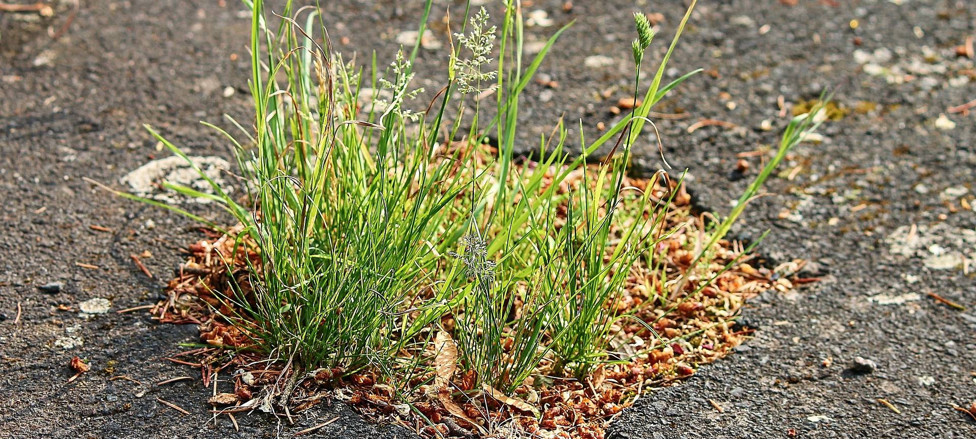 Ortsmitte Trupbach soll schöner werden