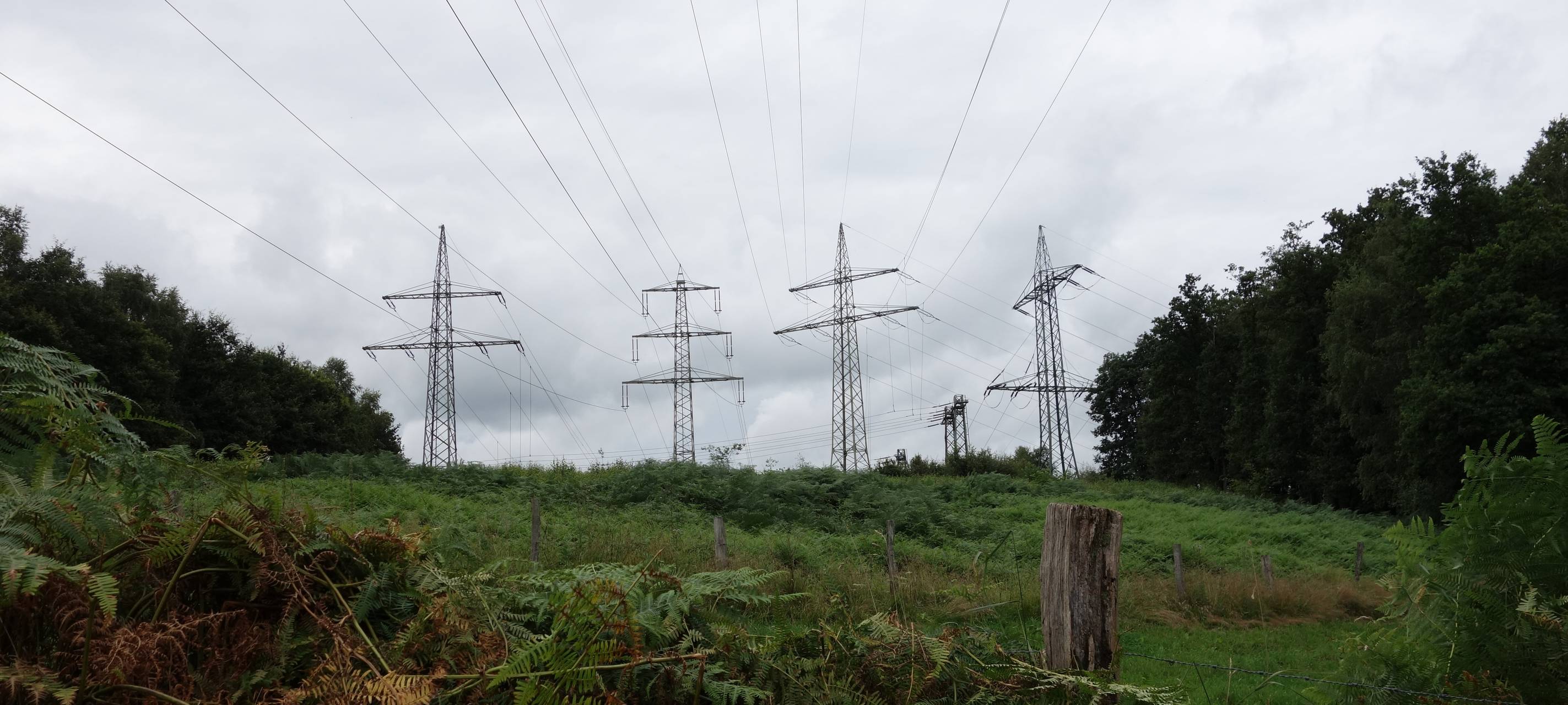 Grundstücksbesitzer klagen gegen Höchstspannungsleitung