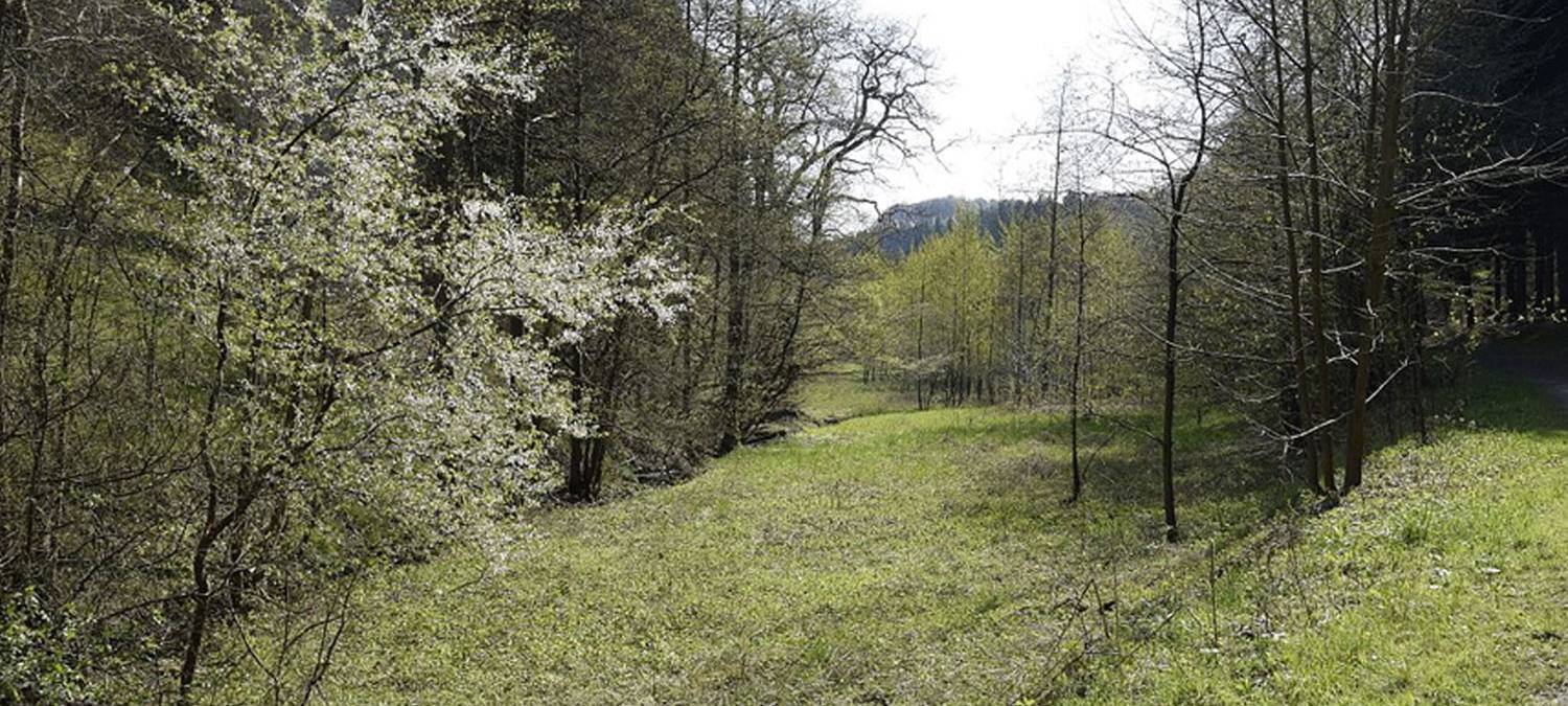 Verbände reichen Klage ein