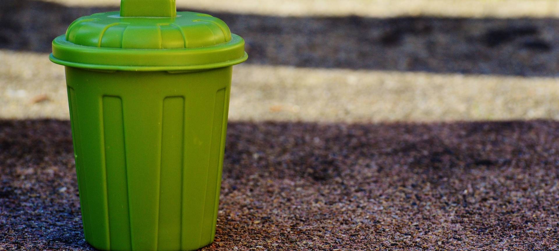 GRÜNE in Siegen rufen zum "Heimatputzen" auf