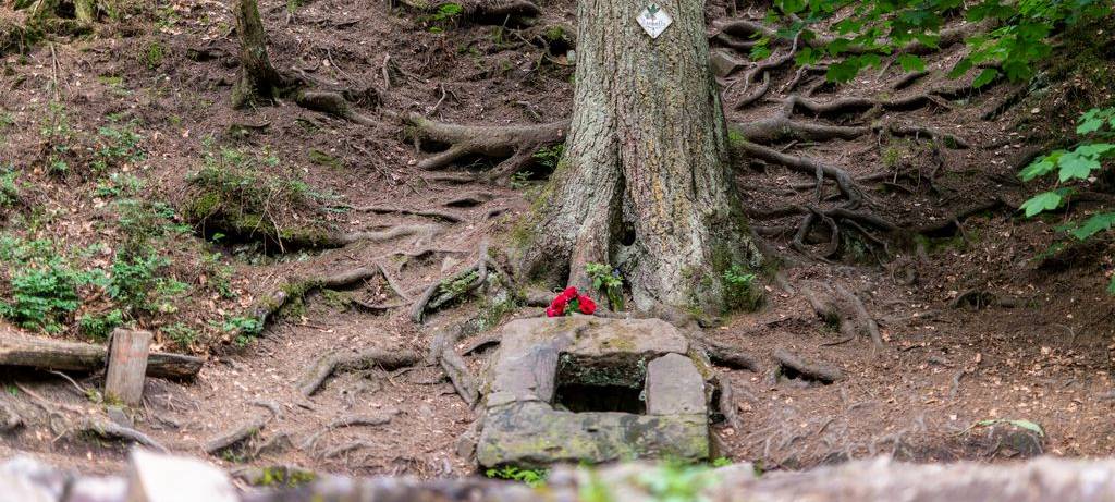 Lokale Weihnachtsgeschenke