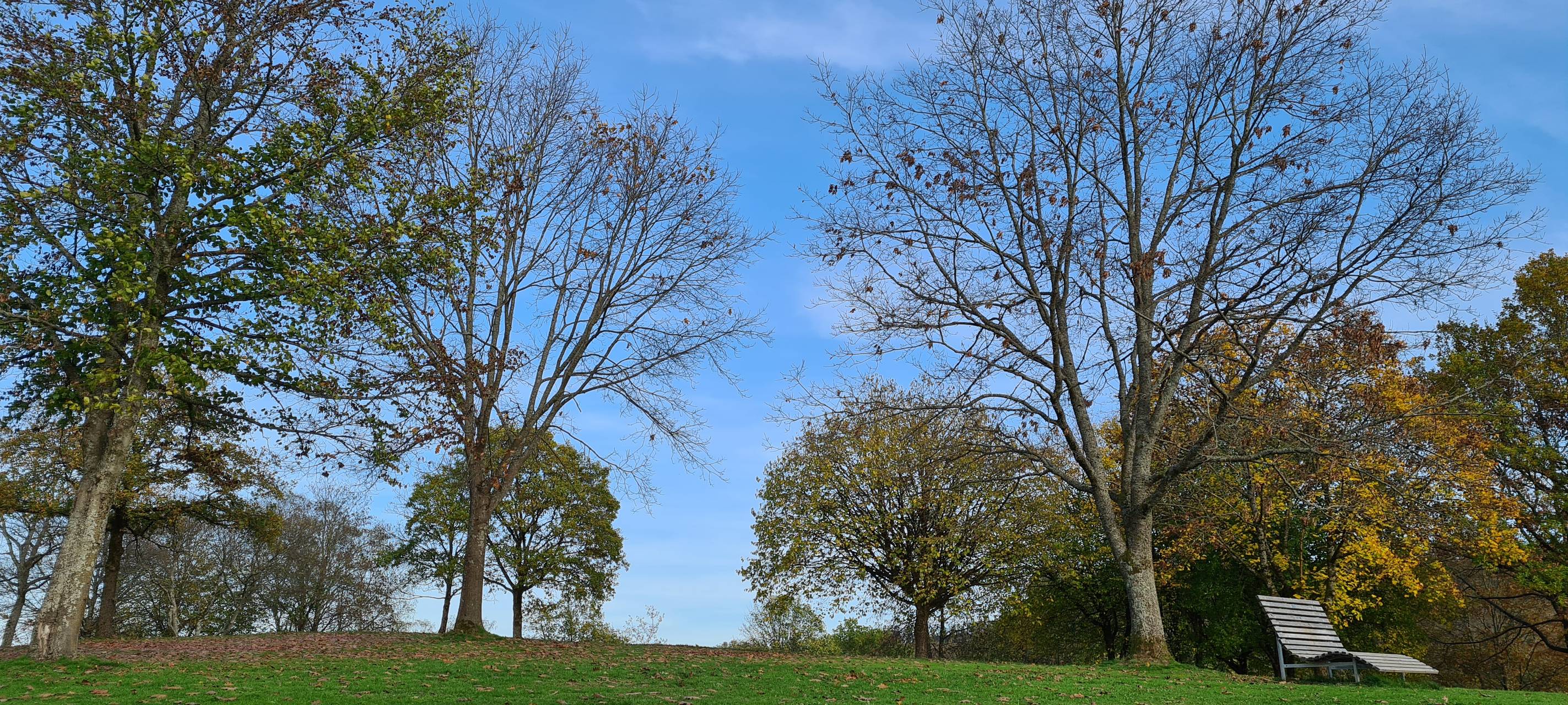 Freude in Freudenberg