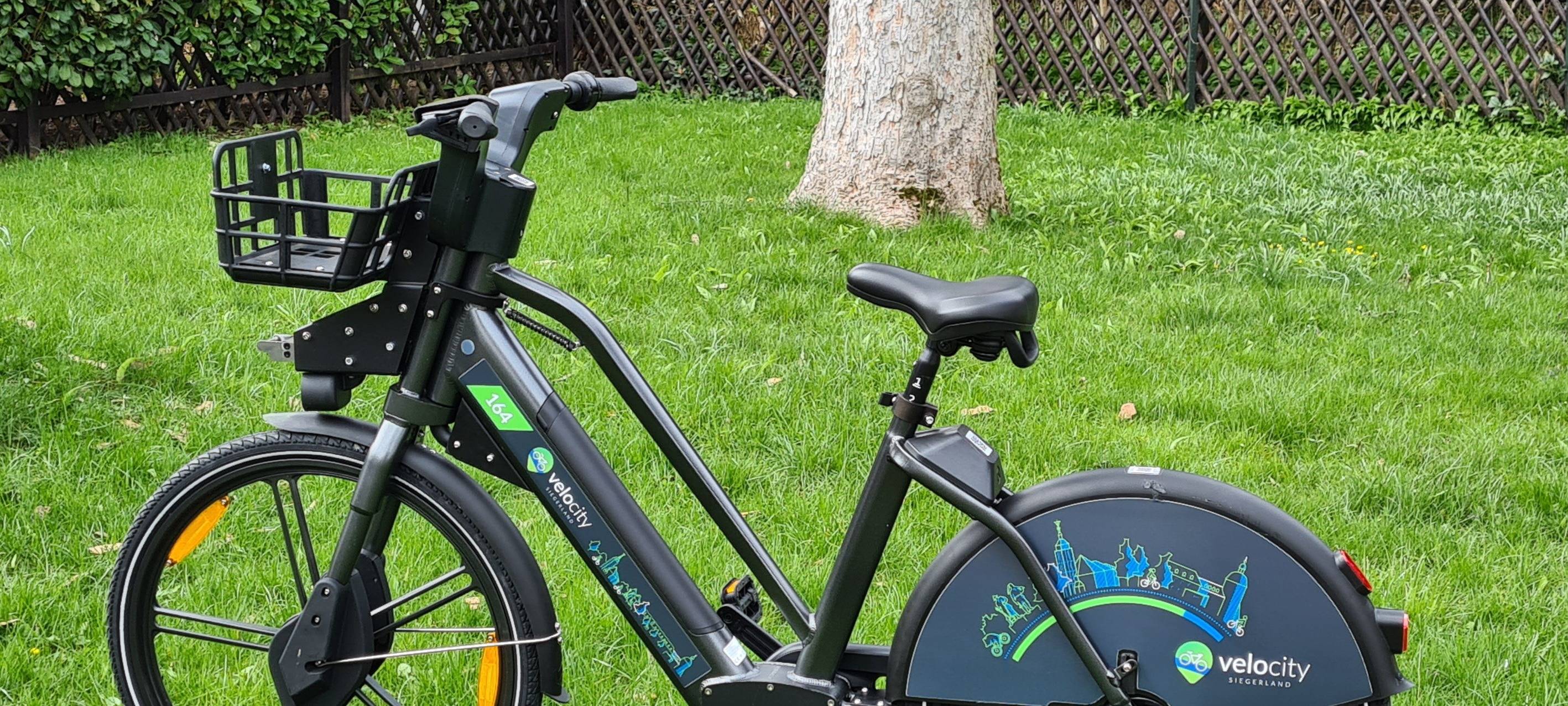 Kein Insolvenzverfahren