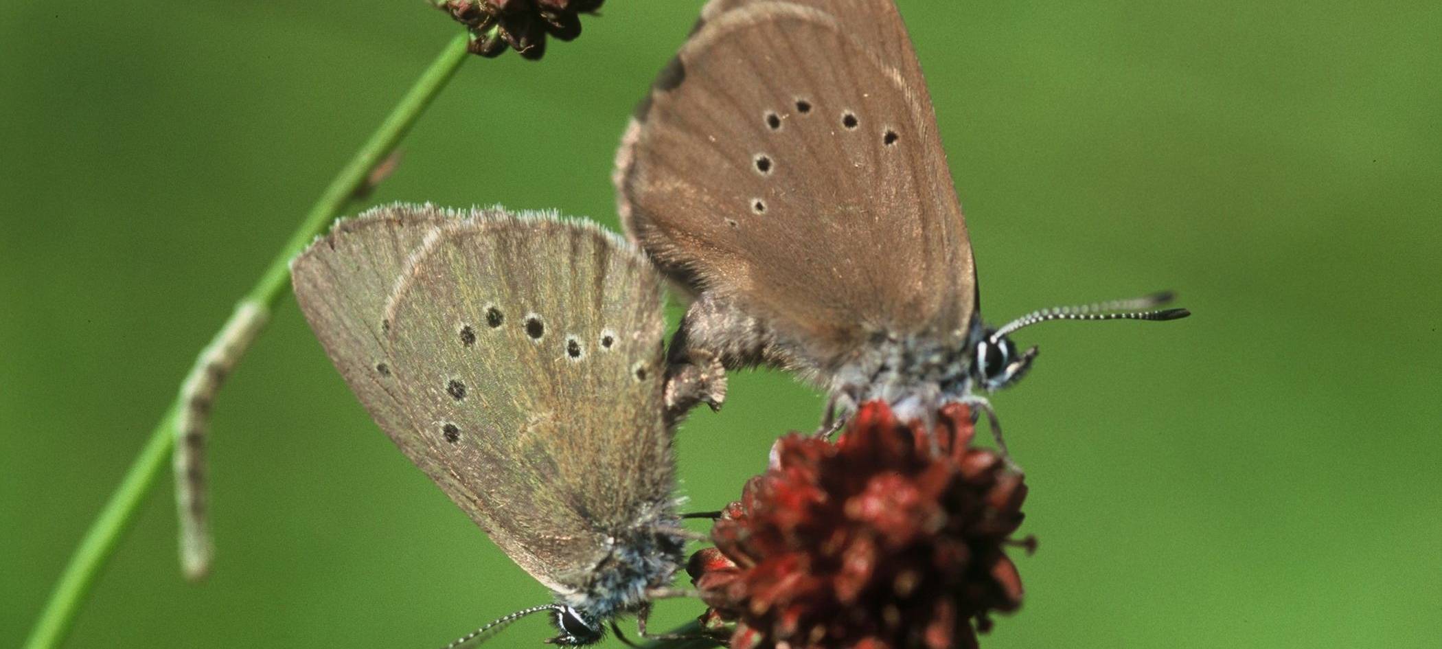 220 000 Euro Förderung