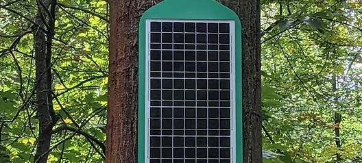 Sensor "riecht" Waldbrände