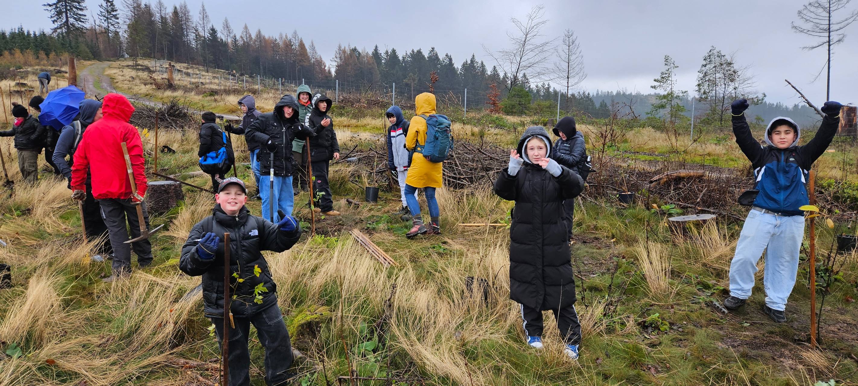 Pflanzaktion auf dem Kindelsberg mit Sechstklässlern der Gesamtschule Kreuztal