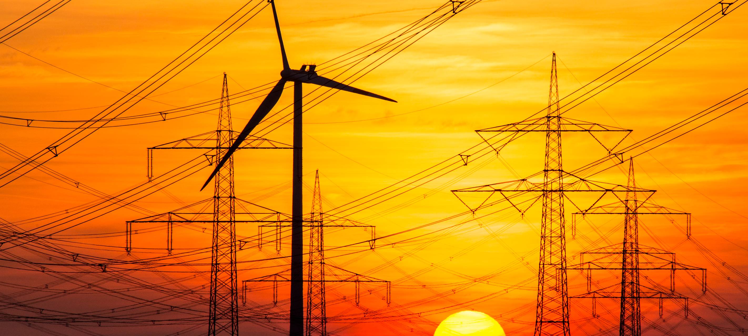 Heimische Unternehmen sehen schwarz