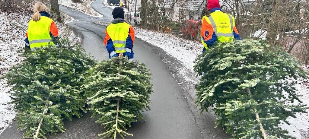 Tannenbäume eingesammelt