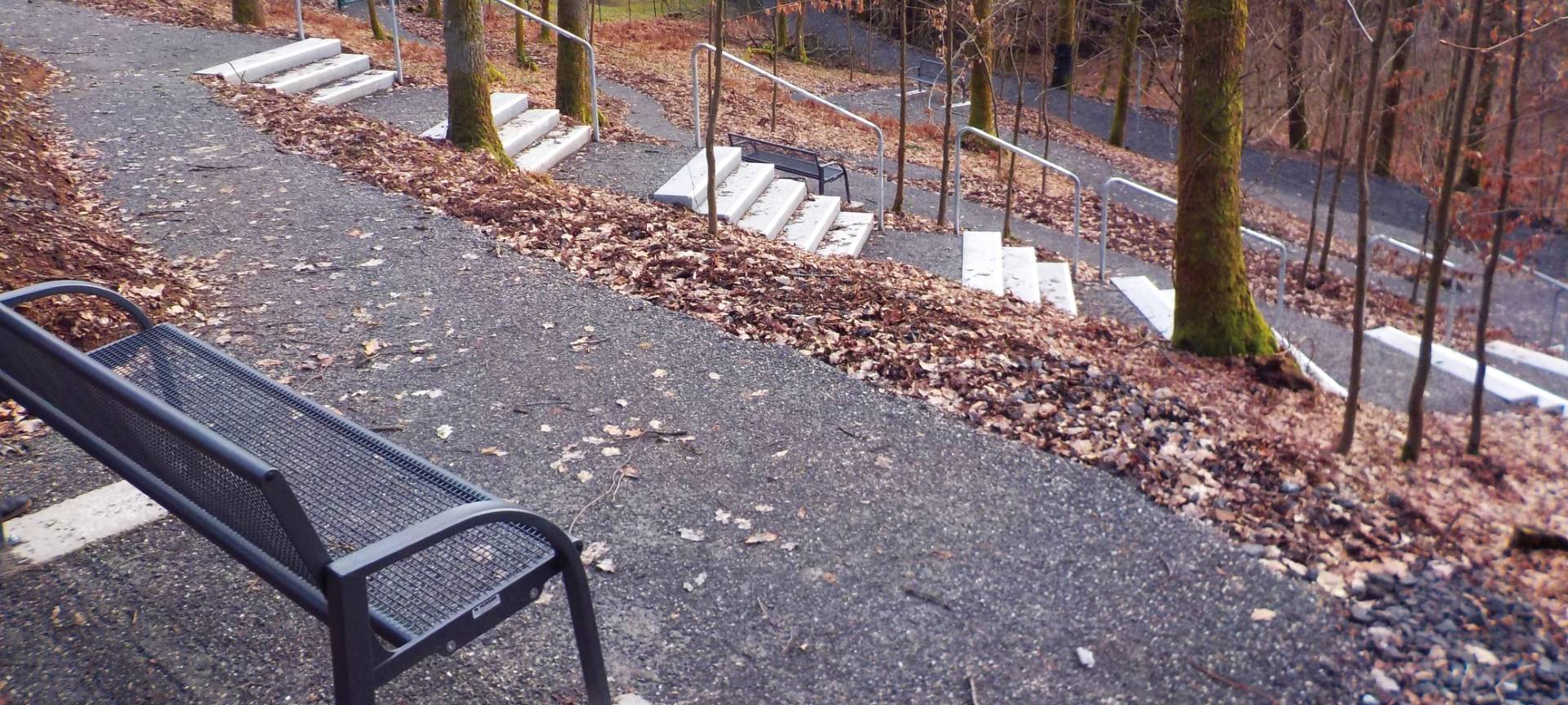 Friedhofswald für Freudenberg