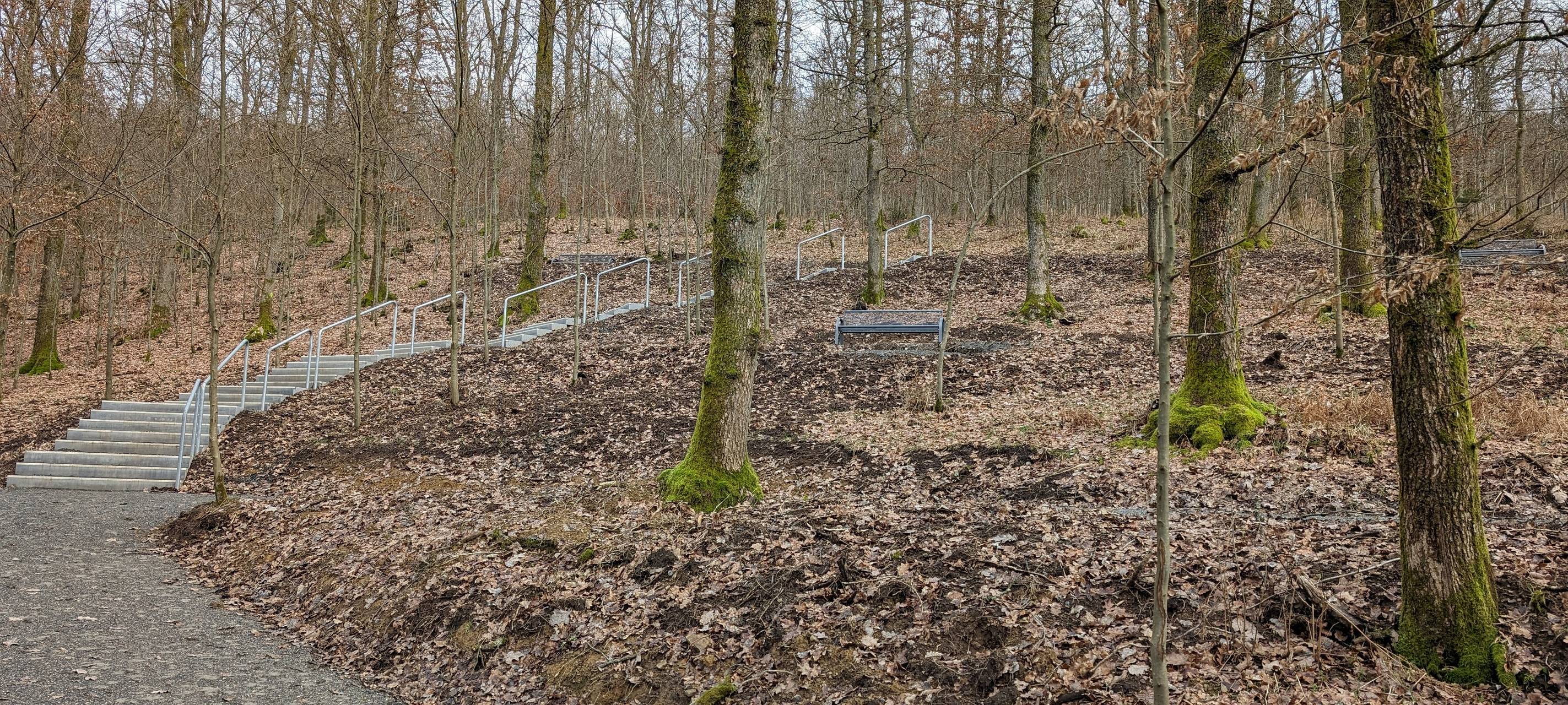 Erster Friedwald für Freudenberg