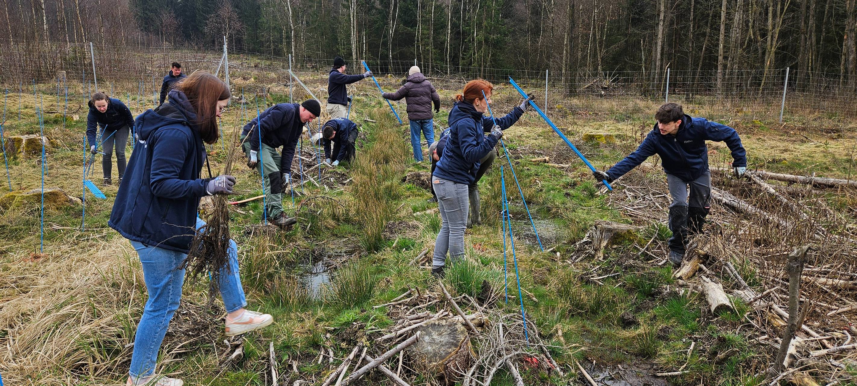3000 Bäume in Würgendorf gepflanzt