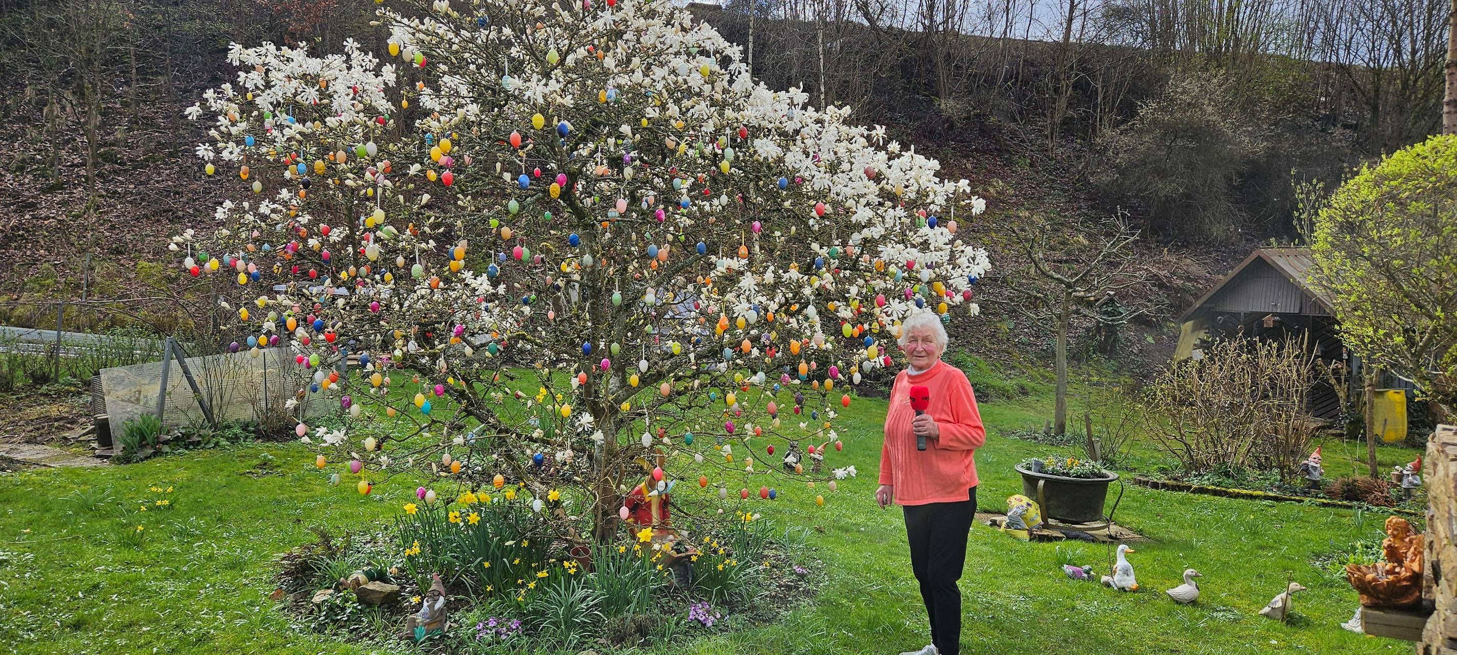 Zum letzten Mal Eierbaum in Niederdielfen