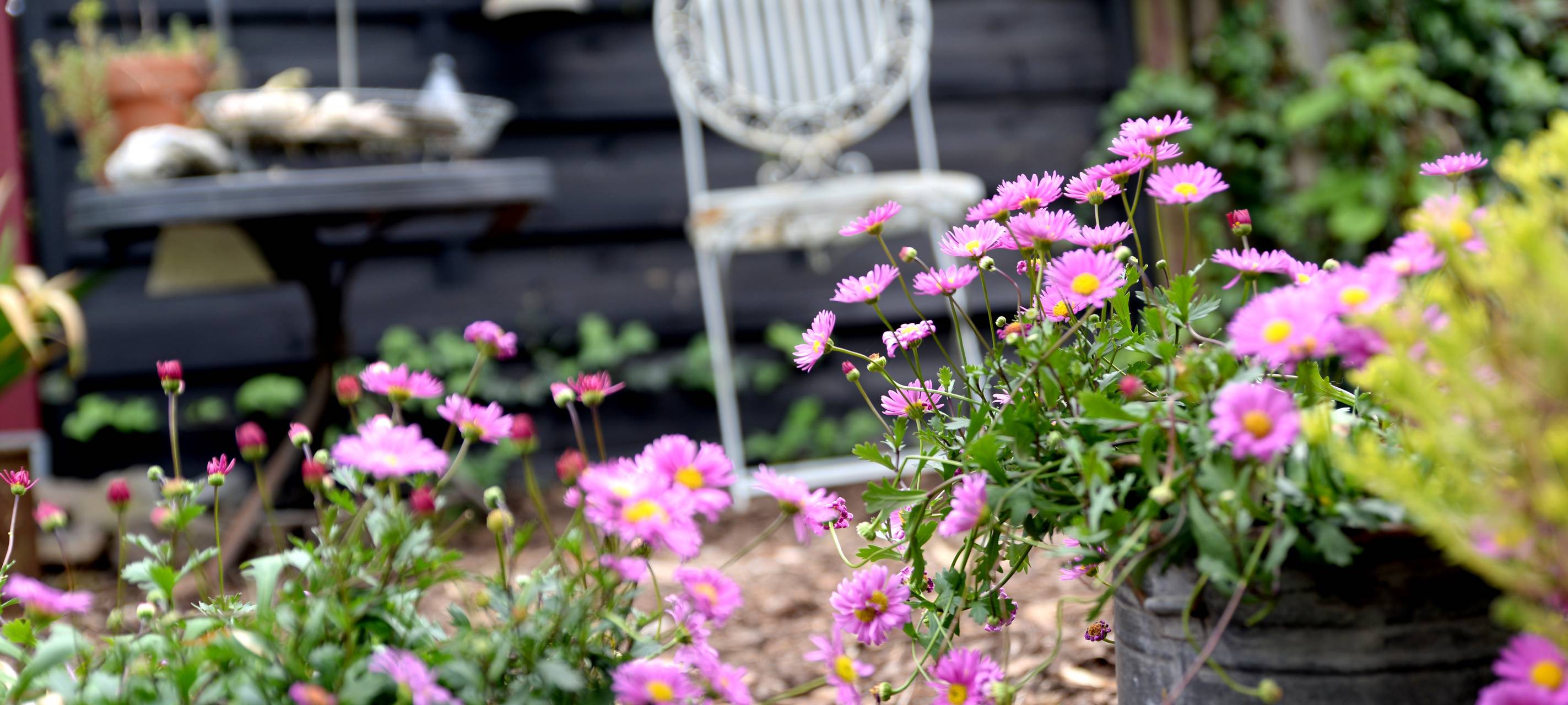 "Tag der offenen Gartentüren" in Wilnsdorf