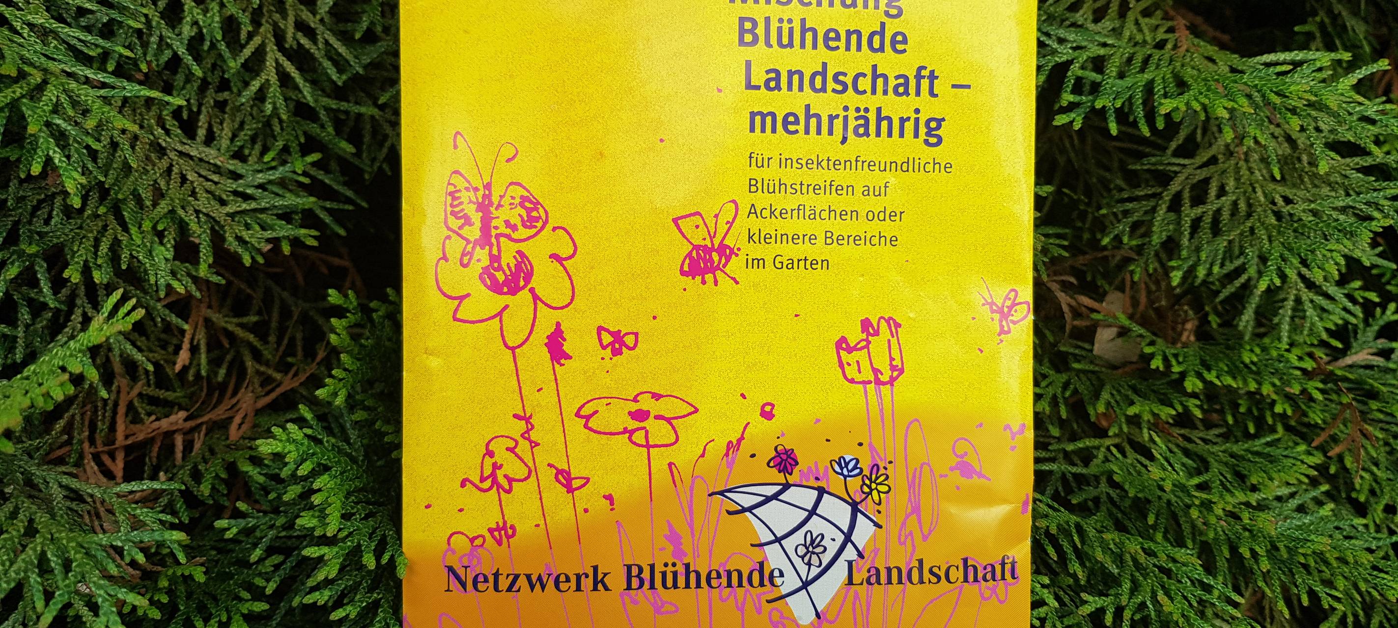 Stadt Siegen verschenkt Blumensamen
