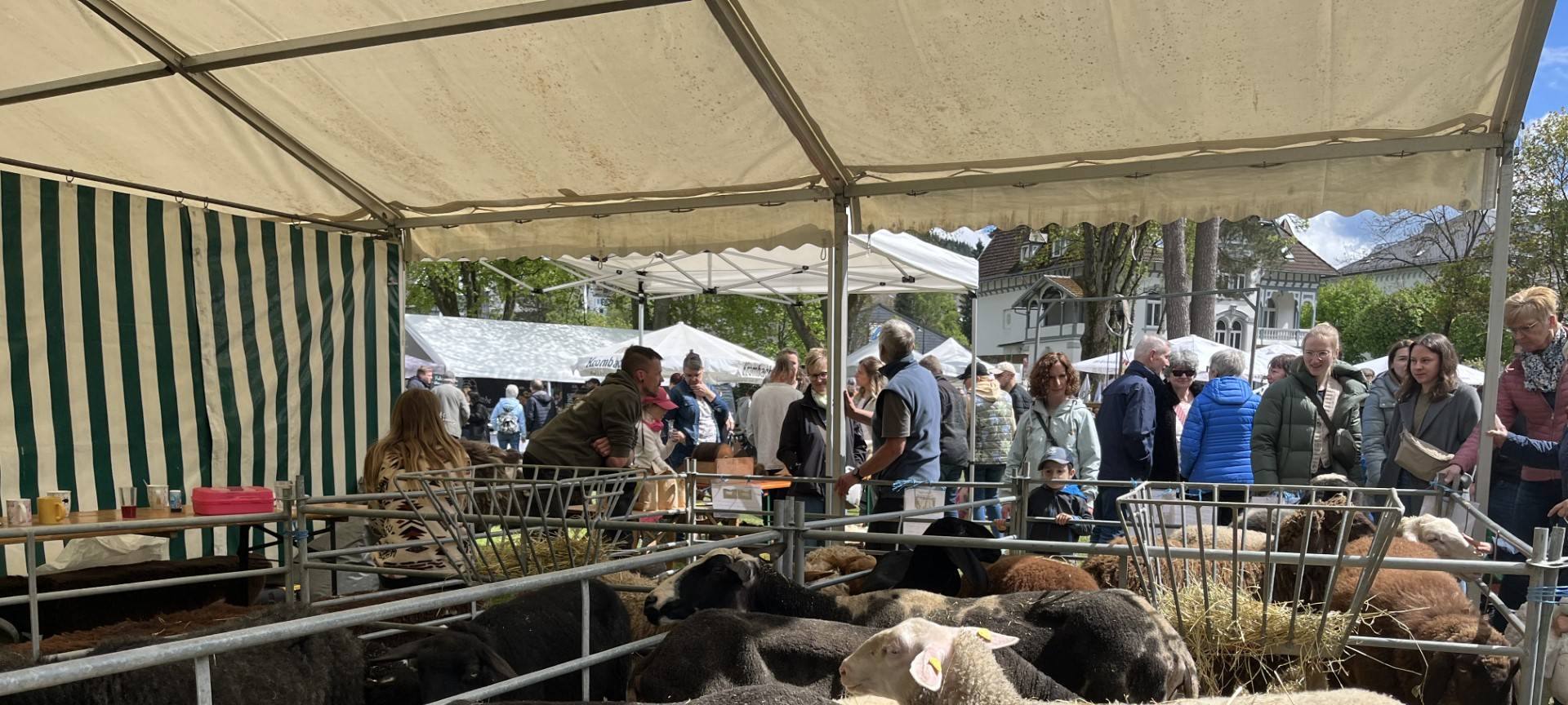 Wollmarkt in Bad Berleburg