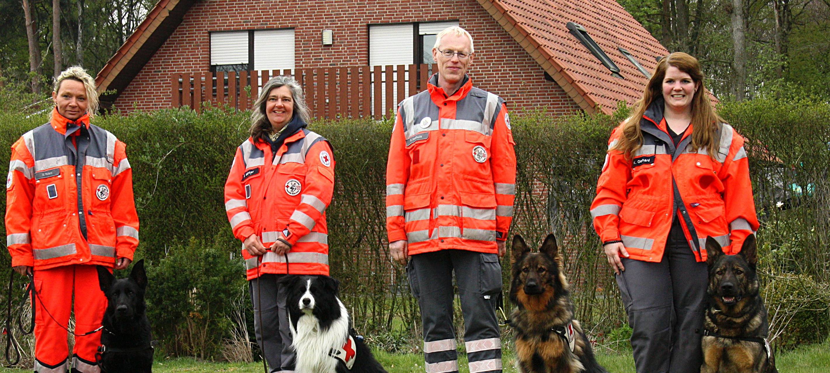 Rettungshunde absolvieren die Prüfung erfolgreich