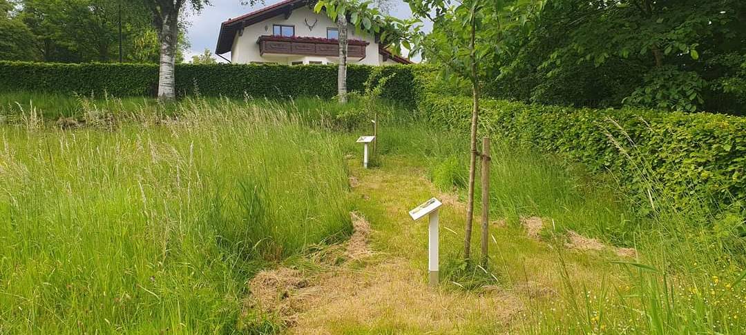 Leichter Rundweg