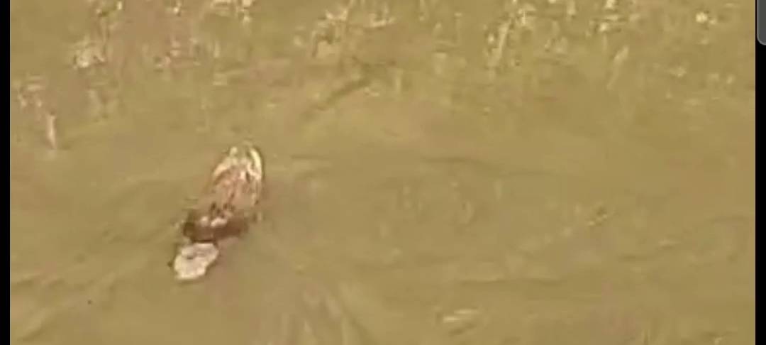 Schnelle Aufklärung