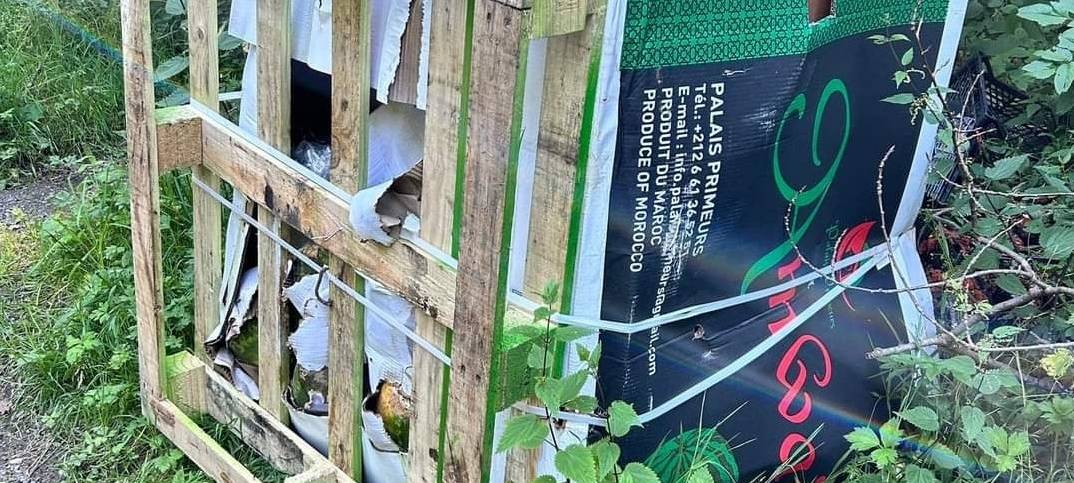 Illegale Abfallentsorgung