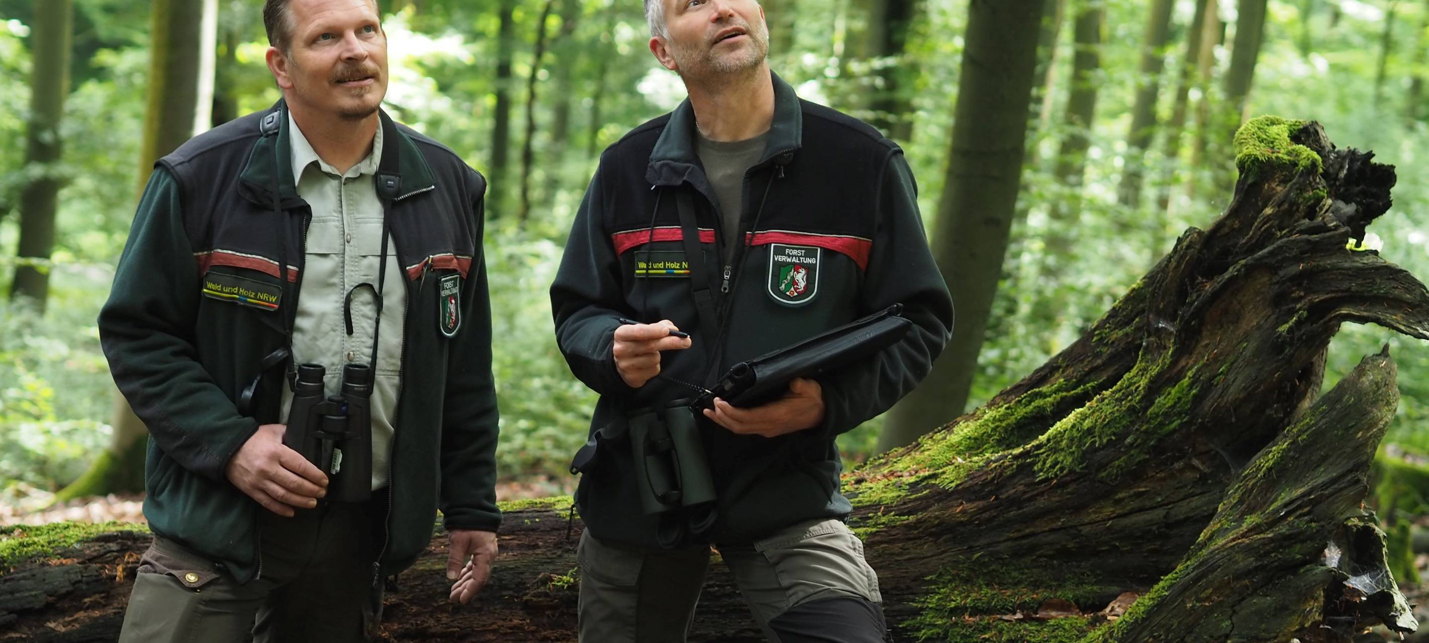 Ein eingespieltes Team sammelt im Wald Daten für den Waldzustandsbericht.