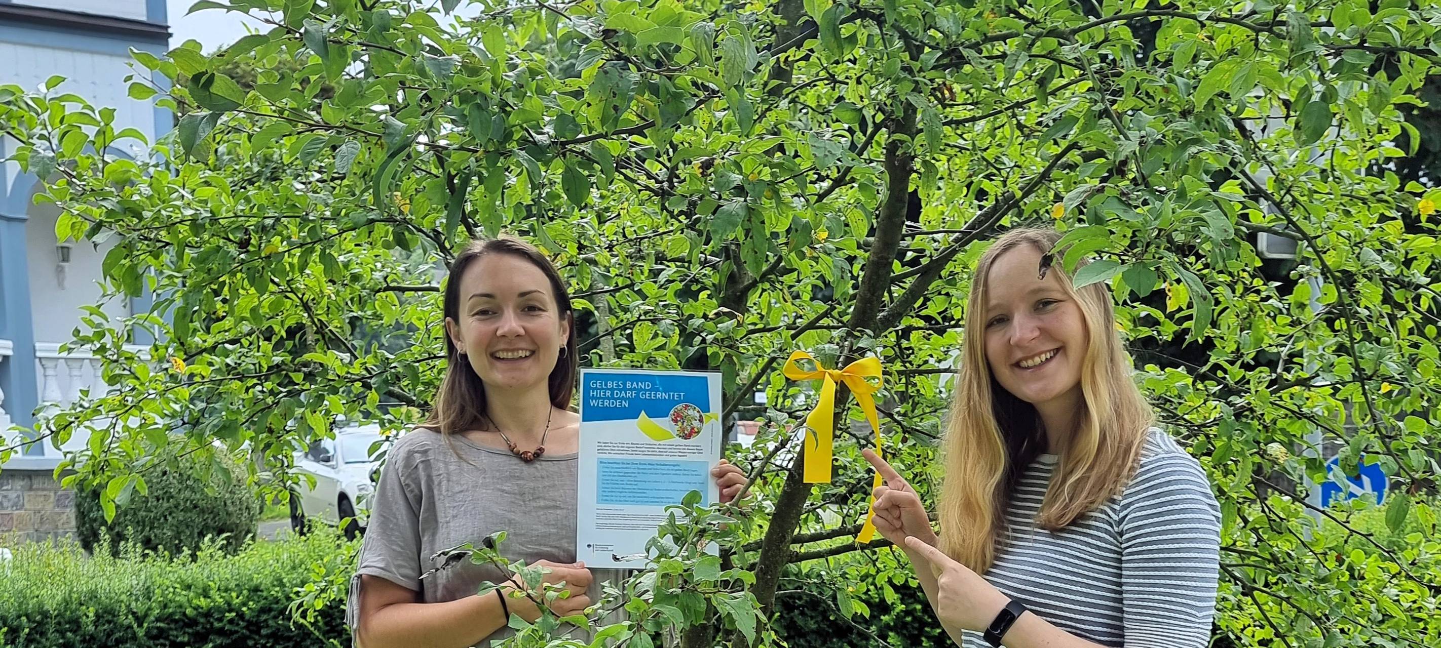 Gratis Obst ernten in Bad Berleburg