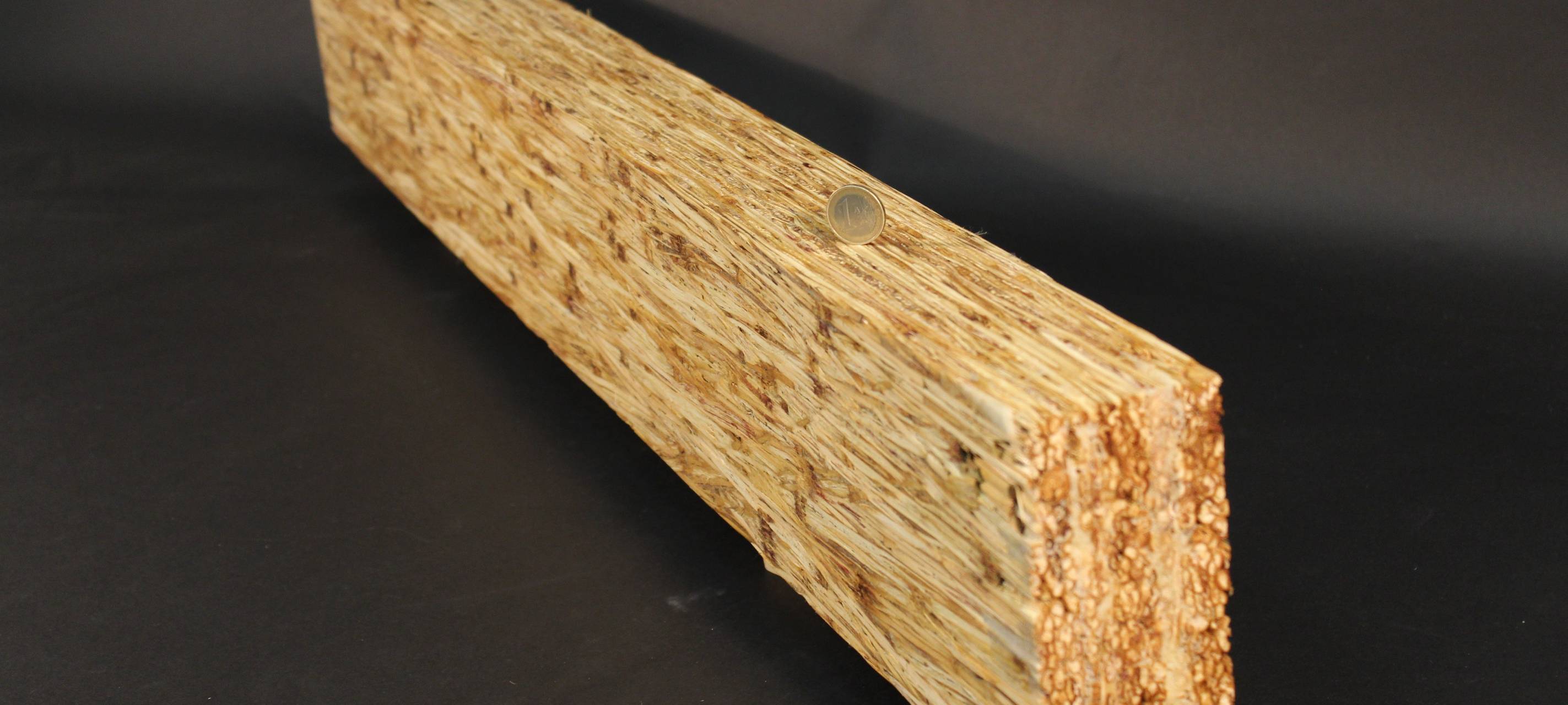 Uni Siegen entwickelt Balken aus Schilf