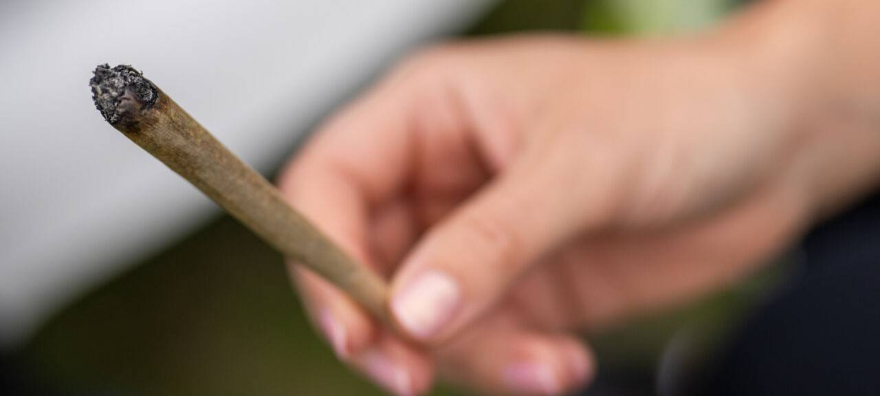 Über 250 Aussteller: Zu Besuch bei der Cannabis-Messe "Cannafair"